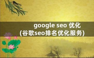 google seo 优化(谷歌seo排名优化服务)